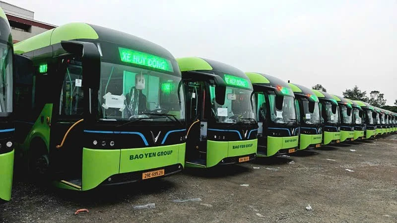 Hà Nội làm rõ chính sách miễn phí xe buýt, chỉ áp dụng cho nhóm đối tượng đặc biệt