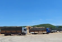 Chế biến gỗ dăm nguyên liệu tại Khu công nghiệp cảng biển Hòn La. (Ảnh minh họa)