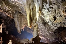 Một hang động mới được phát hiện (Ảnh: Đoàn thám hiểm hang động)