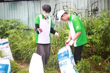 Sinh viên Trường đại học Mở Thành phố Hồ Chí Minh tham gia các hoạt động bảo vệ môi trường. 