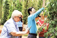 Chú trọng đổi mới, phát triển kinh tế tập thể