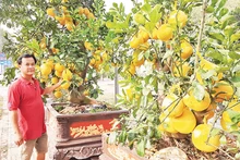 Anh Nguyễn Đặng Thành, chủ vựa hoa, cây cảnh Hưng Thịnh, thành phố Thủ Đức.