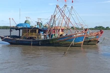 174 tàu, thuyền hoạt động nghề cá ở tỉnh Thái Bình đã được hỗ trợ kinh phí mua, lắp đặt thuê bao giám sát hành trình.