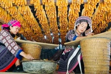 Vễ sáp ong của đồng bào H' Mông Mù Cang Chải, được du khách ưa chuộng khám phá. (Ảnh: THANH SƠN)