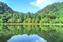 Vườn quốc gia Cúc Phương.