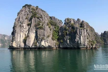 Quần đảo Cát Bà.