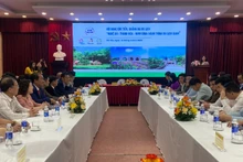 Các đại biểu tham dự hội nghị.