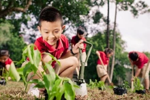Chỉ cần mỗi cá nhân nhận biết các hành động tiết kiệm năng lượng, giảm rác thải nhựa... là có thể mang đến một đời sống phát triển xanh và bền vững (Nguồn: Internet)