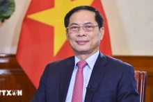 Phó Thủ tướng Chính phủ, Bộ trưởng Ngoại giao Bùi Thanh Sơn. (Ảnh: TTXVN)