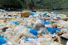 Khu vực bãi Chính của vịnh Vũng Rô thuộc xã Hòa Xuân Nam, thị xã Đông Hòa (Phú Yên) ngập tràn rác thải nhựa. (Ảnh: TTXVN)