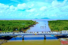 Tại Giải chạy Đất Mũi Marathon - Cà Mau 2022, các vận động viên sẽ chạy ngang qua khung cảnh rừng-biển bạt ngàn về tận Mũi Cà Mau. (Ảnh: HỮU TÙNG)