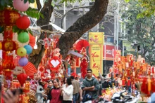 Chợ hoa Hàng Lược 2023. (Ảnh minh họa: THÀNH ĐẠT)