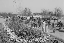 [Ảnh] Những hình ảnh lịch sử của Tết Quý Mão 1963