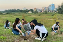 Các thí sinh Hoa hậu Biển đảo Việt Nam năm 2022 đã cùng cán bộ, chiến sĩ và nhân dân huyện đảo Cô Tô dọn vệ sinh môi trường tại khu vực bãi biển.