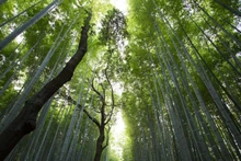 Ảnh minh họa: UNEP.