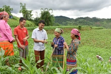 Hướng dẫn người dân bản Tà Han, xã Xuân Lạc, huyện Chợ Đồn, Bắc Kạn, trồng ngô năng suất cao. (Ảnh: Trần Hải)