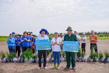 ABBANK trao tặng cây xanh.