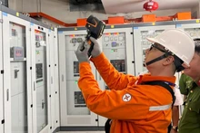 Công nhân công ty điện lực Tân Phú và các đơn vị chức năng đo tìm các sự cố tại trạm điện thuộc chung cư Emerald Precinct.