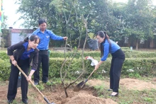 Đoàn viên, thanh niên tỉnh Bình Định trồng cây xanh tại khu tưởng niệm Nguyễn Sinh Sắc.