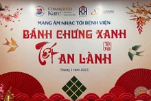 [Video] Tiếp thêm động lực cho người bệnh với chương trình "Bánh chưng xanh - Tết an lành"