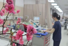 [Video] Các bệnh viện tuyến cuối nỗ lực tiếp nhận bệnh nhân cấp cứu gia tăng trong dịp Tết