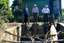Công ty trách nhiệm hữu hạn một thành viên quản lý công trình thủy lợi Đắk Lắk sử dụng bơm nước chống hạn ở huyện Lắk.