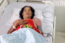 Sau gần 2 tuần điều trị tại Khoa Hồi sức tích cực, Bệnh viện đa khoa Thiện Hạnh, tỉnh Đắk Lắk, sức khỏe của cụ bà S.L, người Campuchia đã ổn định và xuất viện.