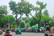 Khu vực nội thành Hà Nội có gần 600 điểm đỗ xe tại lòng đường, vỉa hè.