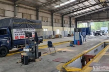 Tình trạng ùn tắc đăng kiểm đang dần được cải thiện.