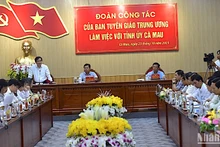 Phó Trưởng Ban Tuyên giáo Trung ương Phan Xuân Thủy (bìa trái, đứng) phát biểu tại buổi làm việc với Tỉnh ủy Cà Mau.
