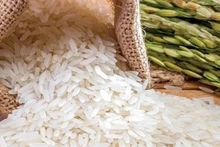 [Infographic] Xuất khẩu gạo Việt Nam qua những con số