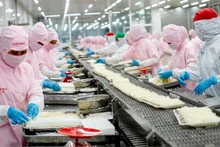 Lao động tại Công ty Phát triển kinh tế Duyên Hải (Cofidec). Ảnh: SATRA