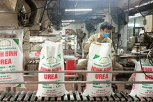 Sản xuất urê tại Cty TNHH một thành viên Đạm Ninh Bình.