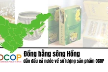 [Infographic] Đồng bằng sông Hồng dẫn đầu cả nước về số lượng sản phẩm OCOP