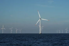 Các turbine gió ngoài khơi bờ biển Nysted, Đan Mạch. (Ảnh: Reuters)