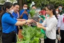 Các em học sinh Trường trung học cơ sở Hoàng Khai, huyện Yên Sơn, tỉnh Tuyên Quang tham gia đổi rác thải nhựa lấy cây xanh.