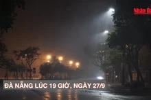 [Video] Đà Nẵng bắt đầu nổi gió rít từng cơn, mưa càng lúc càng lớn