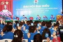 Quang cảnh Đại hội. (Nguồn: Trang thông tin Đoàn TNCS Hồ Chí Minh)