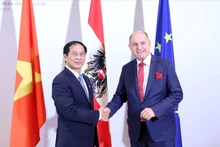 Bộ trưởng Ngoại giao Bùi Thanh Sơn chào xã giao Chủ tịch Hạ viện Áo Wolfgang Sobotka. (Ảnh: TTXVN)