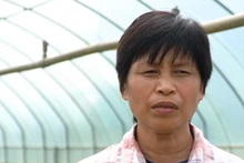 Chị Đặng Thị Cuối bên trang trại rau sạch được xây dựng và dần mở mang thêm từ năm 2016.
