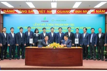 Petrovietnam và Vinachem ký hợp tác toàn diện tận dụng thế mạnh riêng mỗi bên và tạo hiệu ứng cộng hưởng, nâng cao hiệu quả hoạt động sản xuất kinh doanh.