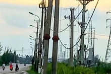 Khẩn trương khắc phục sự cố mất điện trên đảo Cát Bà