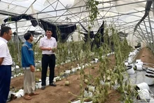 Cán bộ tín dụng Agribank kiểm tra thiệt hại của khách hàng do bão số 3 để lên phương án hỗ trợ. 