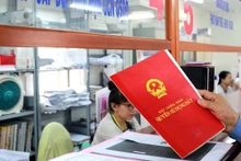 Ảnh minh họa. (Nguồn: Chinhphu.vn)
