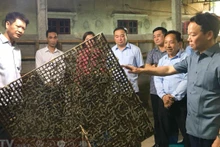 Bí thư Tỉnh ủy Yên Bái Đỗ Đức Duy thăm mô hình sản xuất tằm giống tại xã Việt Thành, huyện Trấn Yên. (Ảnh: THANH SƠN)