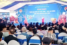 Hằng năm, tỉnh Thái Nguyên tổ chức nhiều hoạt động kết nối cung-cầu lao động để giải quyết việc làm, giảm nghèo cho người dân.