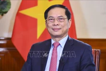 Bộ trưởng Ngoại giao Bùi Thanh Sơn. Ảnh: TTXVN phát