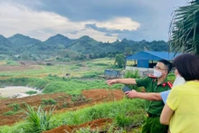 Kiểm tra việc chấp hành bảo vệ môi trường tại Công ty cổ phần giống bò sữa Mộc Châu sau khi tiếp nhận thông tin qua đường dây nóng.
