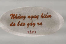 Những nguy hiểm do bão gây ra