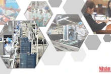 Bảo đảm quyền lợi người lao động, giúp doanh nghiệp phục hồi trong dịch Covid-19